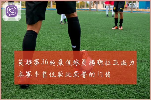 英超第36轮最佳球员揭晓拉亚成为本赛季首位获此荣誉的门将