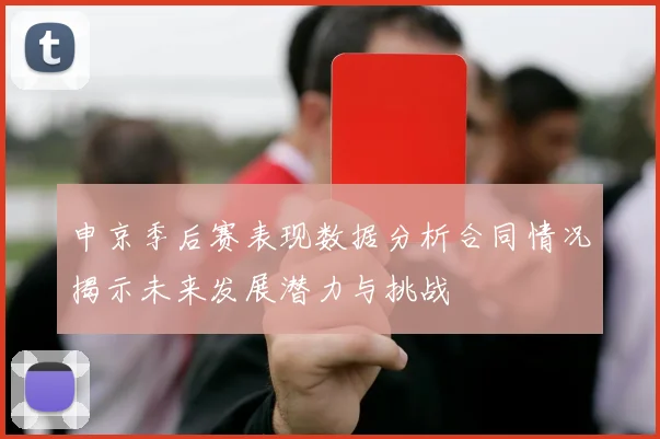 申京季后赛表现数据分析合同情况揭示未来发展潜力与挑战